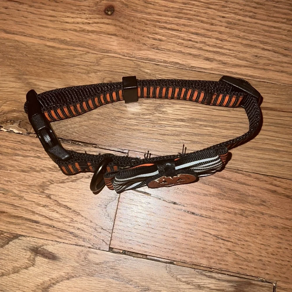 Halloween Dog Collar Size Small